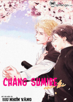 Chàng Sumire Của Tôi